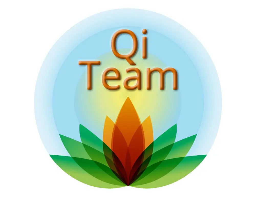 Read more about the article Qi Team Membership
